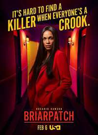 ���� Briarpatch ��һ������