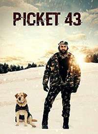 43����������
