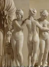 BBC��¼Ƭ��������¬�������䱦����