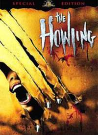 �Ƶ�����ҹ����