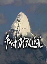 ���ظ��ʲ��볯ʥ֮�ú���