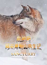 �ӻ�����������˹ɽ�����Ǻ���