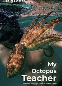 �ҵ�������ʦ����