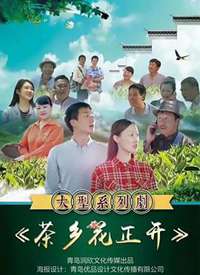 ���绨��������