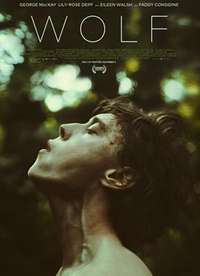 ��2021 Wolf����