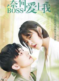 �κ�BOSS�����Һ���