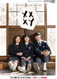 XX+XY����