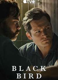 ���� Black Bird ��һ������