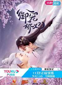 ���轿�� �缯����