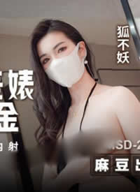 �鶹�δ�ý MSD-205 ְ������滺����������ݽ� �������������꺣��